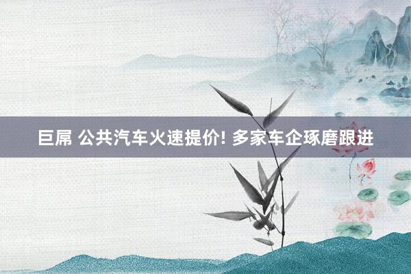 巨屌 公共汽车火速提价! 多家车企琢磨跟进